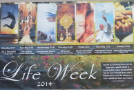 Life Week Ave Maria University