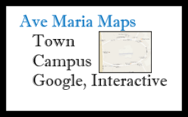 Ave Maria Maps